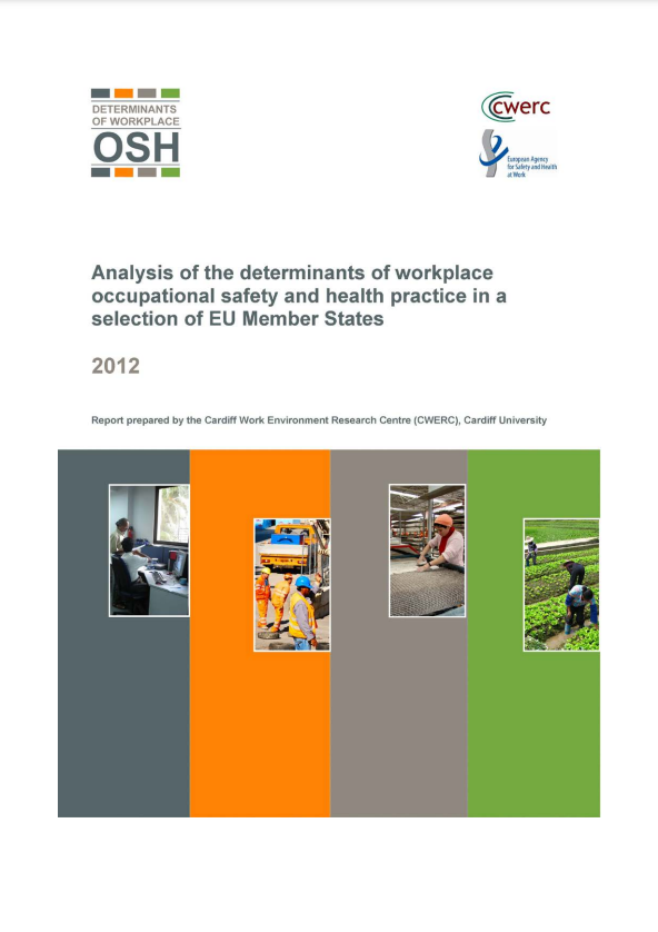 Annex - Analysis of the determinants of workplace occupational safety and health practice in a selection of EU Member States