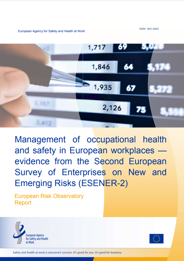 Management of occupational health and safety in European workplaces — evidence from the Second European Survey of Enterprises on New and Emerging Risks (ESENER-2)