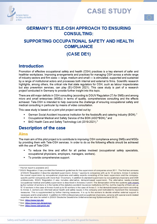 Germany's Tele-OSH approach to ensuring consulting: supporting occupational safety and health compliance (Case DE1)