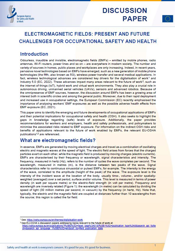 Cover of the Discussion paper Electromagnetic fields: present and future challenges for occupational safety and health