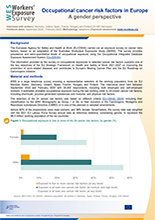 Cover of WES flyer on gender perspective