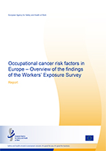 Cover of Overview of the findings of the Workers' Exposure Survey report