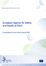 Cover of Consolidated Annual Activity Report 2025