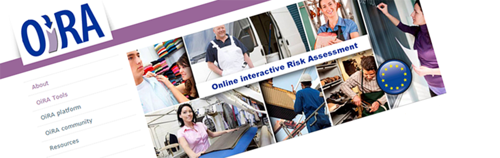 OIRA: Online Interactive Risk Assesment