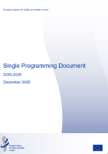Single Programming Document 2026-2028