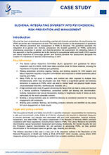 Cover of Slovenia: integrating diversity into psychosocial risk prevention and management