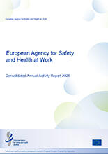 Cover of Consolidated Annual Activity Report 2025